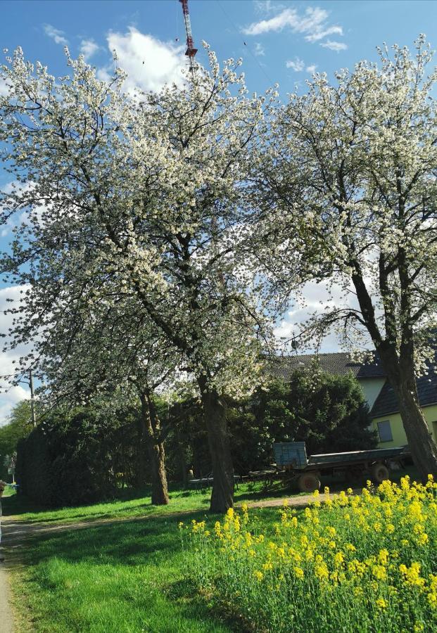 Landidylle Nassheck