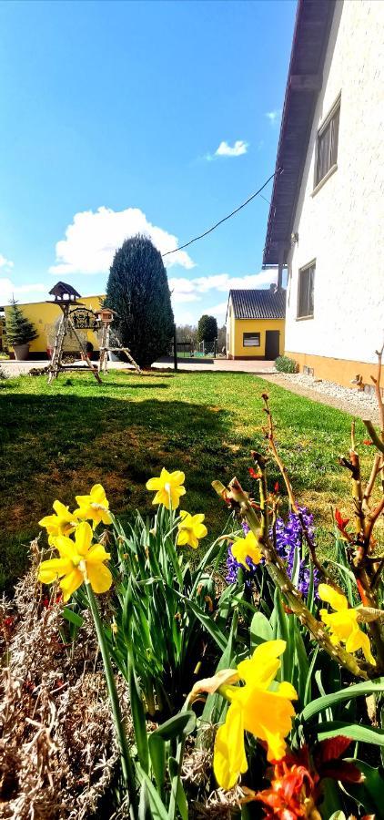 Apartment Landidylle Nassheck *